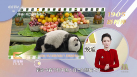 英语课代表发育的真好
